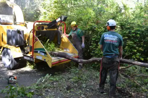 tree services Burlingame